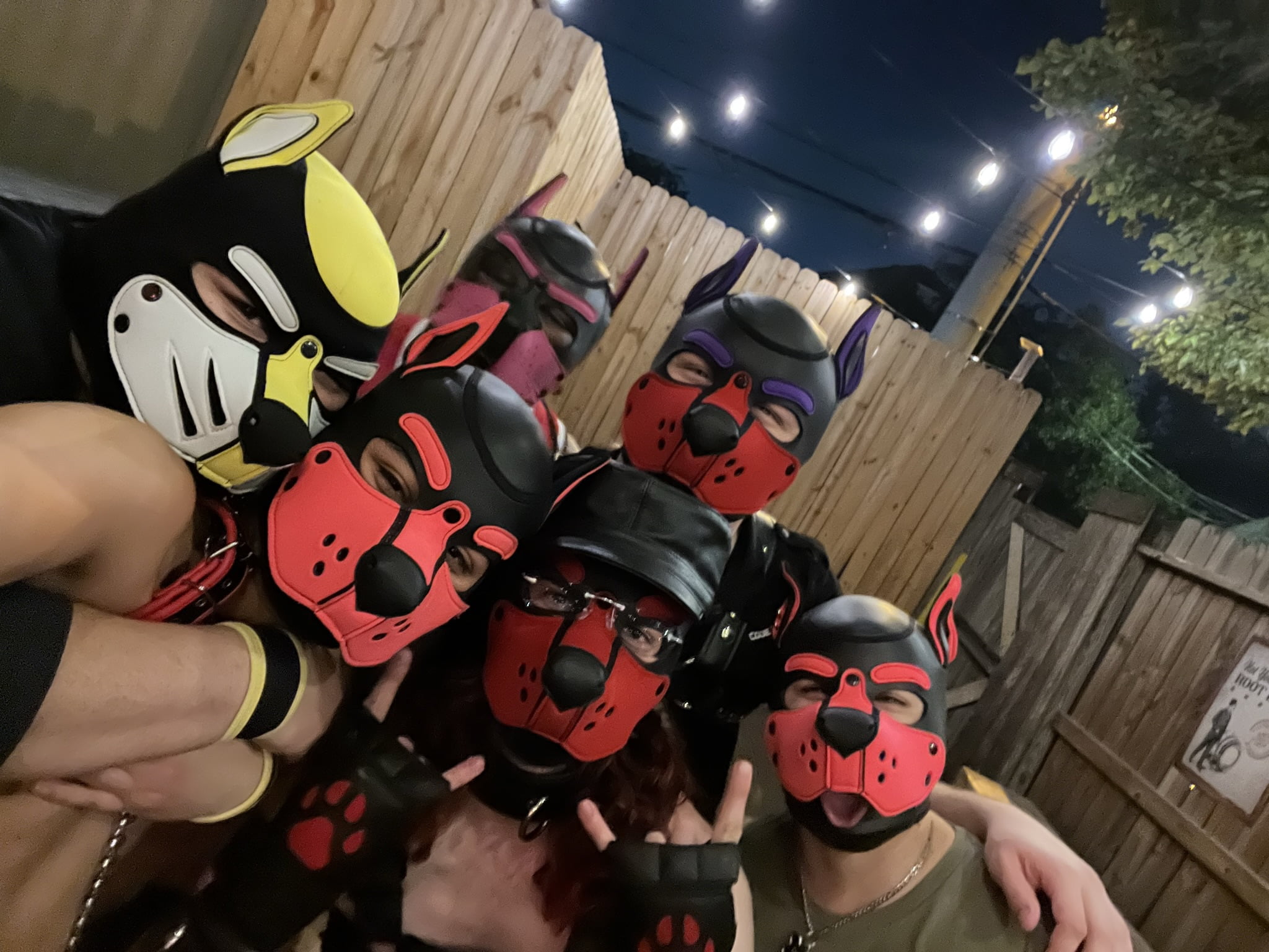 Pup Pet Play 101 DFW PAHS